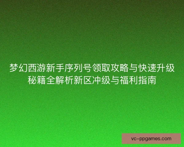 梦幻西游新手序列号领取攻略与快速升级秘籍全解析新区冲级与福利指南